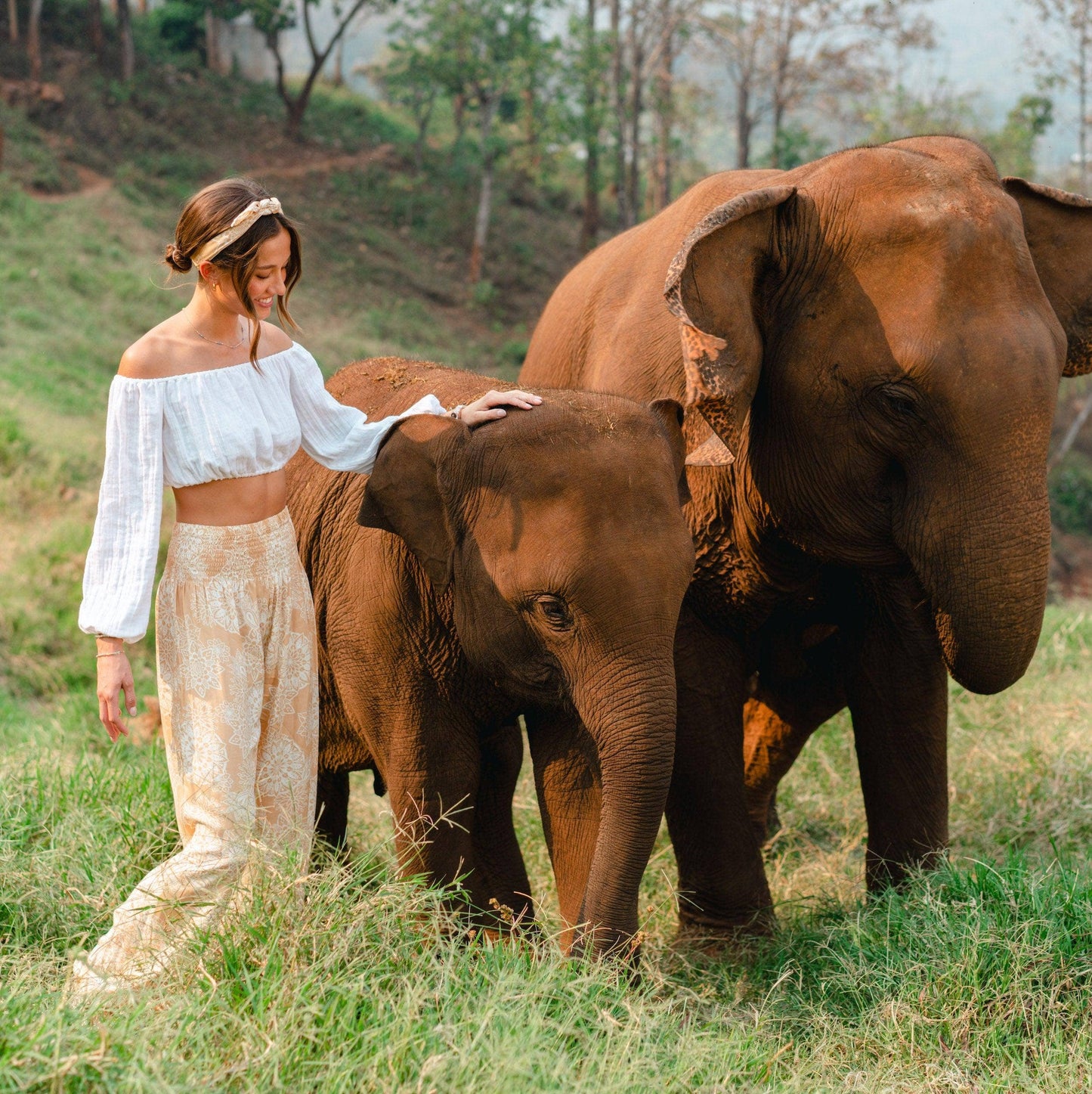 Lotus and Luna - White Long Sleeve Top: L $42