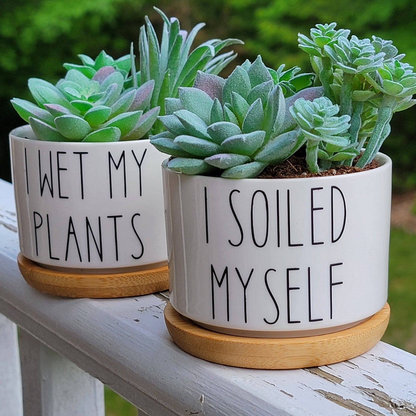 Vulpine Vinyls - Funny Succulent Pots - White Ceramic Plant Pot: Talk Dirty To Me