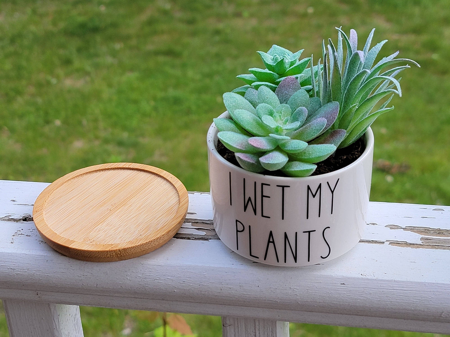 Vulpine Vinyls - Funny Succulent Pots - White Ceramic Plant Pot: Talk Dirty To Me