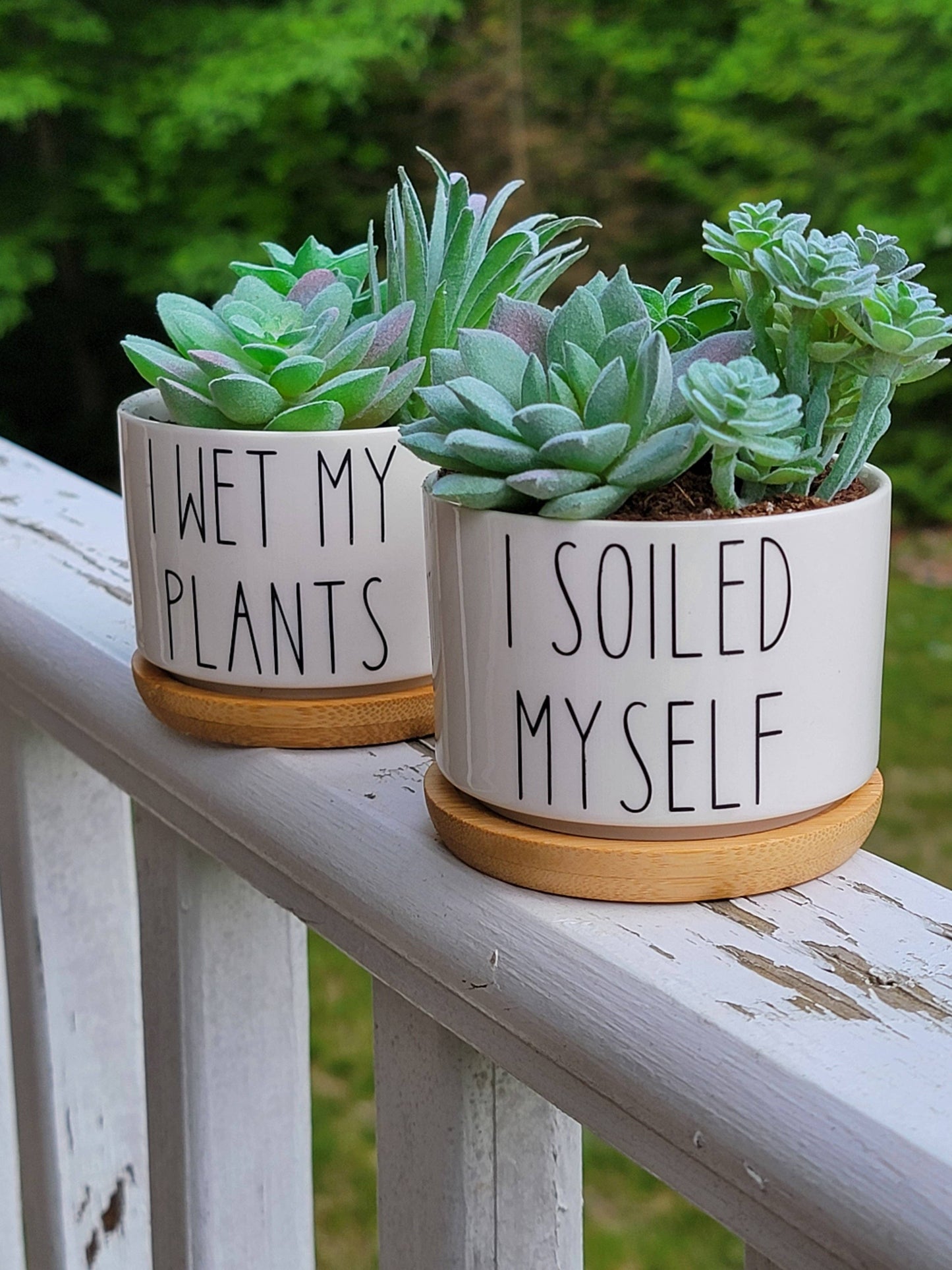Vulpine Vinyls -  Succulent Planters I Soiled Myself & I Wet My Plants: Brilliant Blue